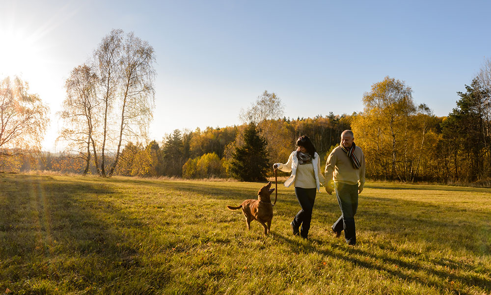 Nature walks with store dogs near me